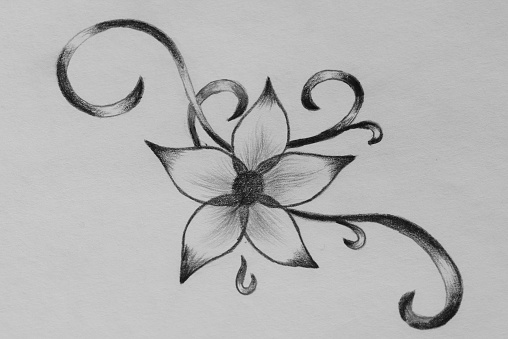 Photo of an artistic hand drawn flower, black and white background