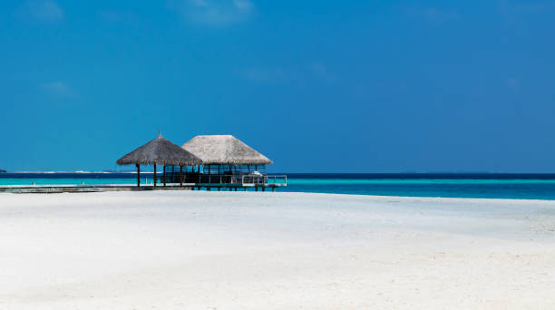 istock Empty tropical beach with pier by the sea. 1170076005