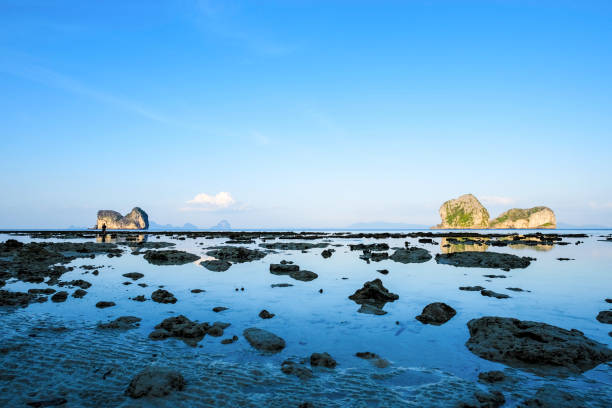 istock Coral beach on island with blue sky 1170077592