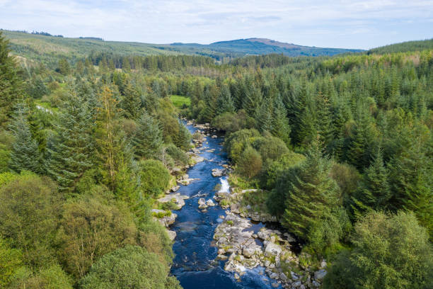 istock Aerial view of a small Scottish river 1170080085