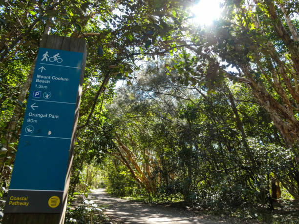 Signage on the Mount Coolum boardwalk, a key section of the Sunshine Coast's iconic Coastal Pathway The Mount Coolum boardwalk is a key section of the Coastal Pathway, an initiative to get more people active through sport and recreation, which is jointly funded by the Sunshine Coast Council, Caloundra Council, the Queensland Sport and Recreation Program, the Queensland Government Cycle Network Program, and Rotary Clubs.

The Coastal Pathway stretches 73 kilometres from Pelican Waters Bell’s Creek in the south to Tewantin in the north, with some sections still under construction or rejuvenation. The Coastal Pathway is a popular attraction among both tourists and locals for the stunning beaches, coastal environments, and scenery along the way. caloundra stock pictures, royalty-free photos & images