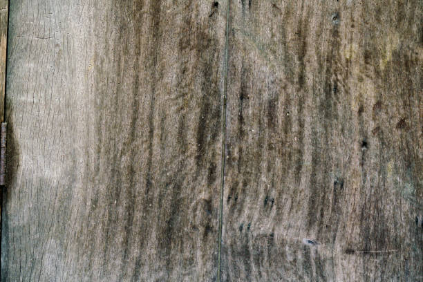 istock Old & grunge wood texture background 1170084632