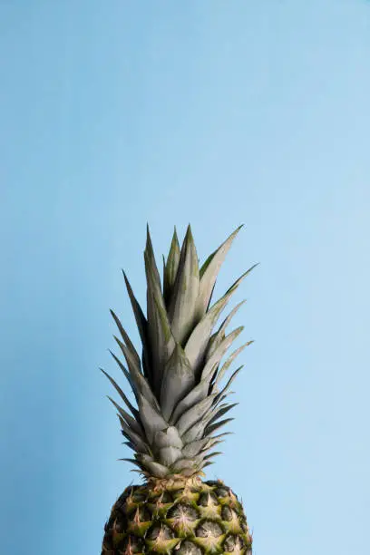 Photo of Single Pineapple