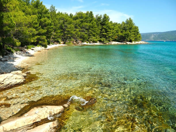 istock Paradise Hvar island coastline 1170085673