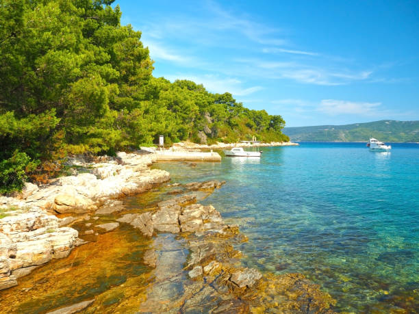 istock Paradise Hvar island coastline 1170085704