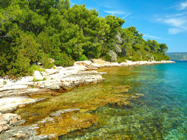 istock Paradise Hvar island coastline 1170085752