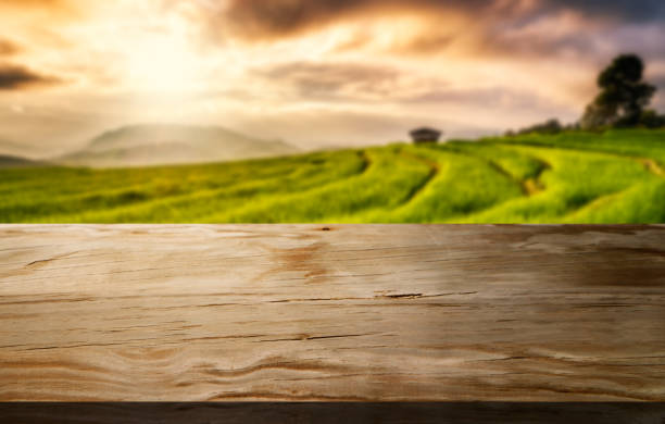 Brown wood table in summer farm green landscape with empty copy space on the table for product display mockup. Agriculture and outdoors picnic concept.