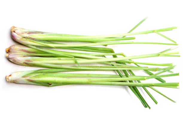 Pandan leaves isolated on white background with clipping path, top view, flat lay.