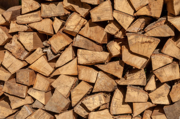 istock Texture of wood 1170089249