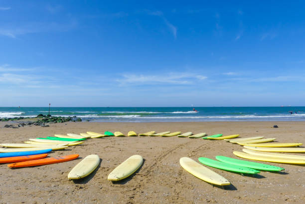 istock sunny surfboard scene on sandy beach scenic coast 1170091143