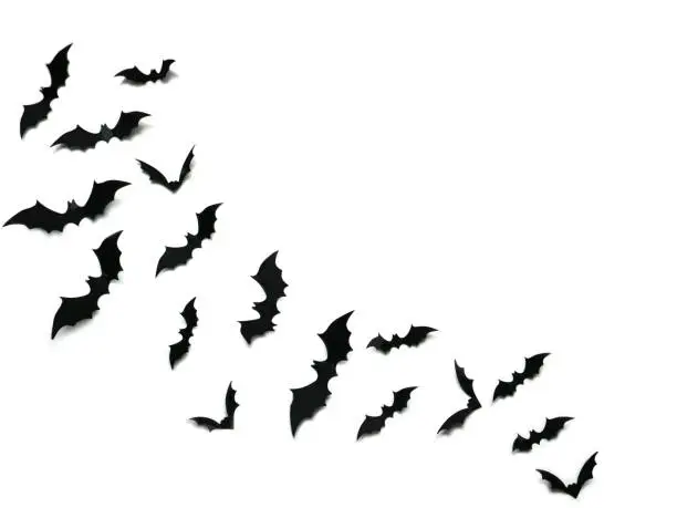 Photo of Flying black bats over white background, Halloween decoration concept.