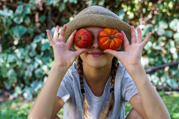 petite fille mignonne retenant un groupe de tomates organiques fraîches dans ses yeux. - tomato small food vegetable photos et images de collection