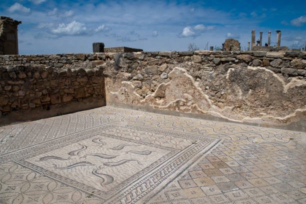istock Dolphin floor mosaic in roman villa 1170098628