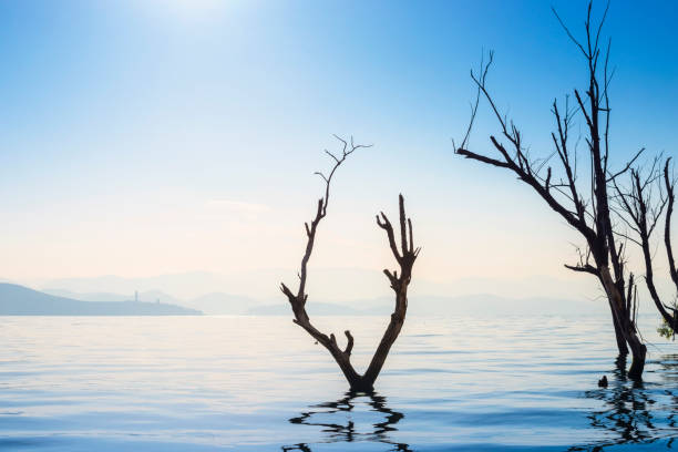 istock Landscape of Yunnan 1170099467