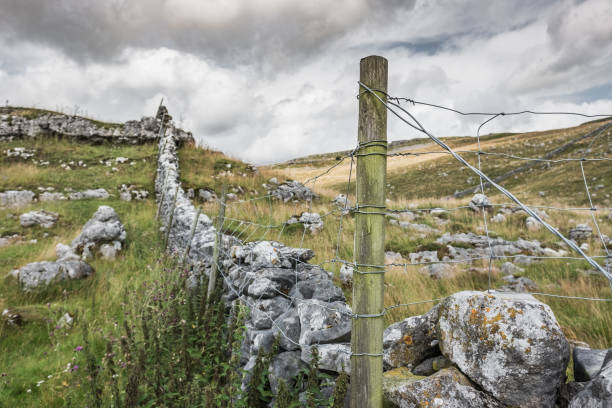 요크셔 데일스(yorkshire dales) 중심부의 낡고 마른 돌로 된 벽에 붙어 있는 나무 울타리 기둥의 얕은 초점. - country road fence road dolomites 뉴스 사진 이미지