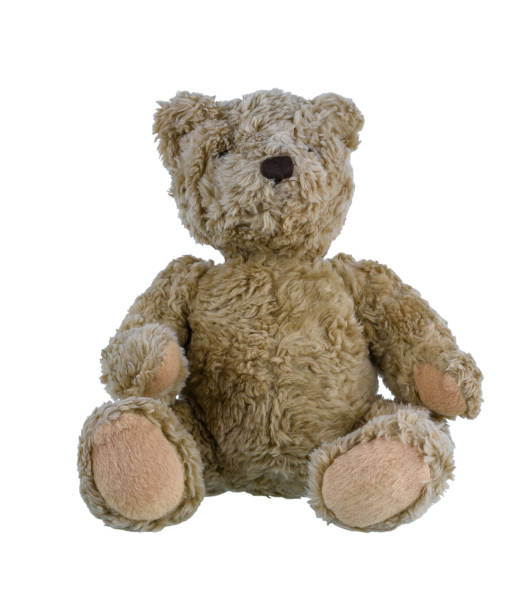 istock Cute brown teddy bear isolated on white background 1170099984
