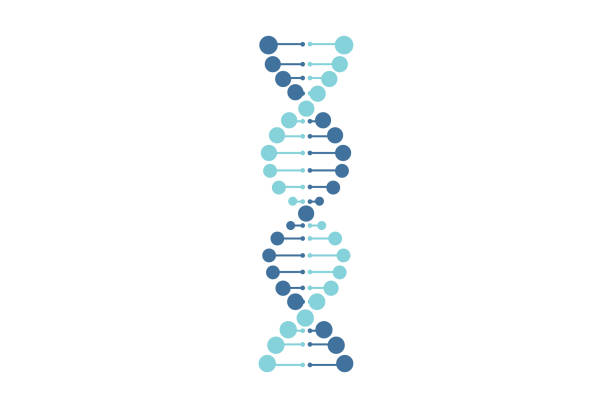 dna vector blue line White background dna vector blue line White background genetics stock illustrations