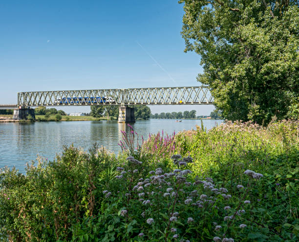 istock The railway bridge between Mook and Katwijk. 1170103385