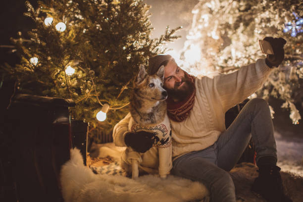 árvore de natal perfeito é chegado, tempo para selfie - animal dog winter snow - fotografias e filmes do acervo