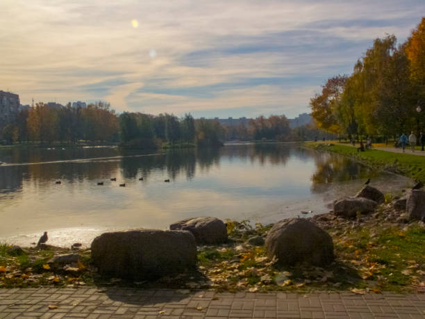 temps d'automne, automne dans la ville, paysage urbain d'automne avec un étang, personnes marchant et d'autres amusements - bench forest pond autumn photos et images de collection