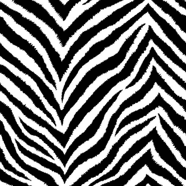 Seamless pattern with zigzag zebra fur print. Vector wallpaper. Exotic wild animalistic skin texture. Seamless pattern with zigzag zebra fur print. Vector wallpaper. Exotic wild animalistic skin texture. zebra print stock illustrations