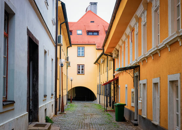 istock Tiny street in Celje old town in Slovenia 1170108475