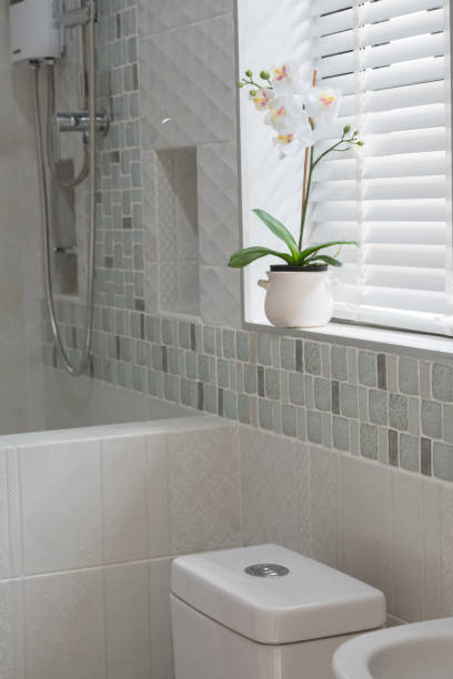 istock Orchid lower decoration in modern bathroom interior 1170111162