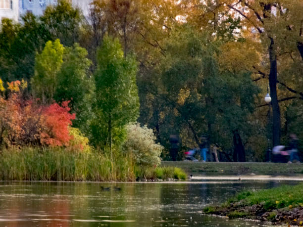 temps d'automne, automne dans la ville, paysage urbain d'automne avec un étang, personnes marchant et d'autres amusements - bench forest pond autumn photos et images de collection