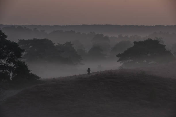 istock Photographing the misty heath sunrise 1170111505