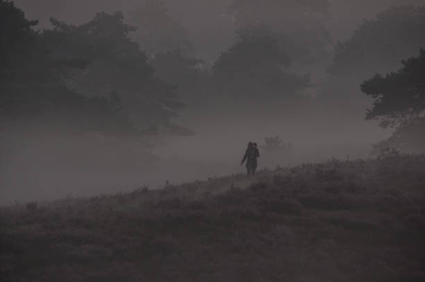 istock Photographing the misty heath sunrise 1170111720