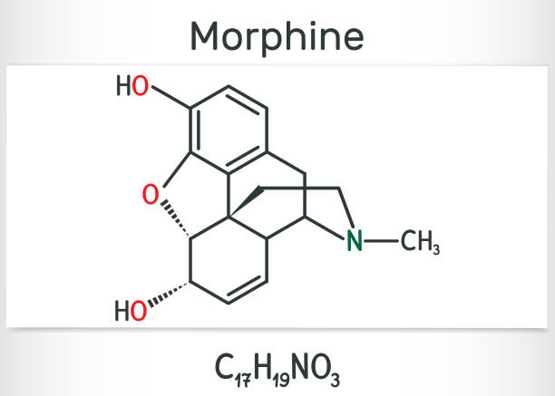 ilustraciones, imágenes clip art, dibujos animados e iconos de stock de molécula de morfina. es un analgésico del opiáceo. fórmula química estructural y modelo de moléculas - morpheus