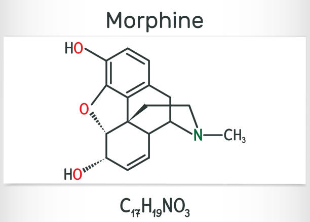 illustrations, cliparts, dessins animés et icônes de molécule de morphine. c'est un analgésique de l'opiacé. formule chimique structurelle et modèle de molécule - morpheus