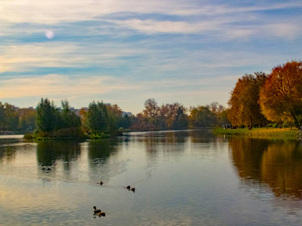 temps d'automne, automne dans la ville, paysage urbain d'automne avec un étang, personnes marchant et d'autres amusements - bench forest pond autumn photos et images de collection