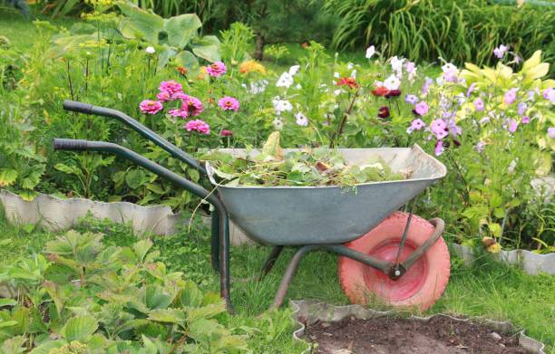 istock garden wheelbarrow with plants 1170116296