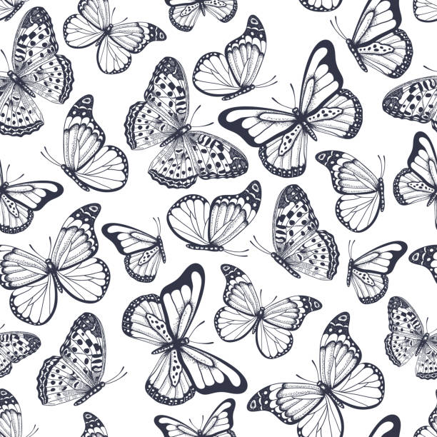 ilustraciones, imágenes clip art, dibujos animados e iconos de stock de patrón sin costuras dibujado a mano con mariposas de contorno - butterfly backgrounds seamless pattern