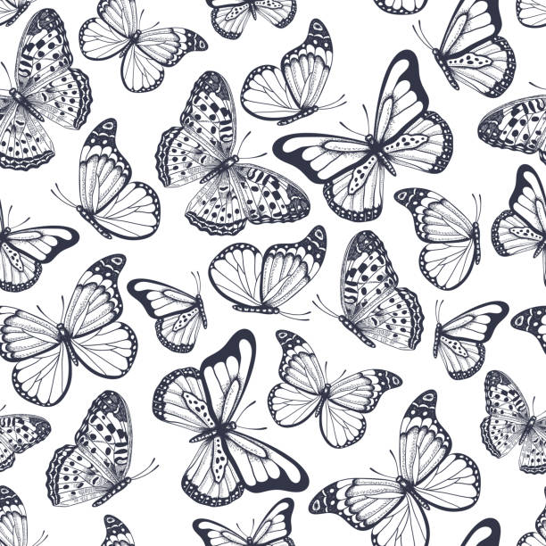 illustrations, cliparts, dessins animés et icônes de modèle sans couture dessiné à la main avec des papillons de contour - butterfly backgrounds seamless pattern