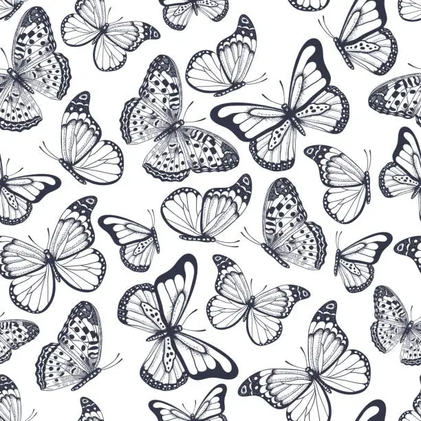 Vector illustration of Hand drawn seamless pattern with outline butterflies