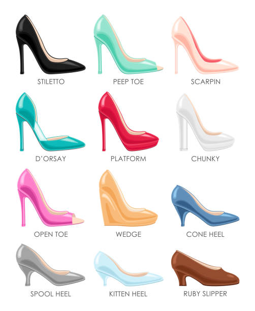 ilustrações de stock, clip art, desenhos animados e ícones de set of different types of female high heeled, platform, wedge, stiletto shoes. fashion background - stiletto pump shoe shoe high heels