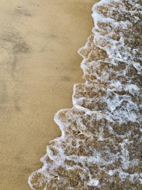 istock Sea wave foam on the sand of beach top view 1170120161