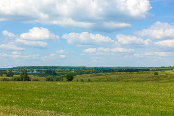 istock Blue sky and beautiful cloud with meadow tree. Plain landscape background for summer poster. The best view for holiday. 1170124396