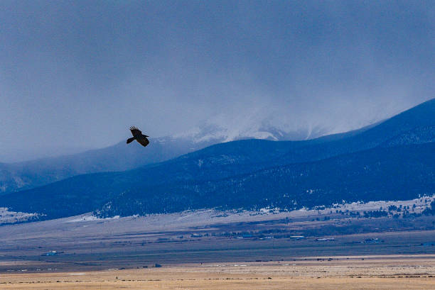 istock Sangre de Cristo mountains at Westcliffe 1170125759