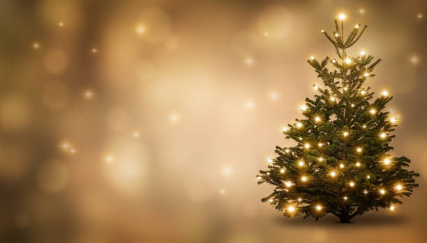 festive fairy lights on christmas tree