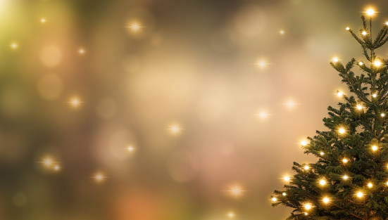 shiny christmas tree at the edge of abstract blurred background