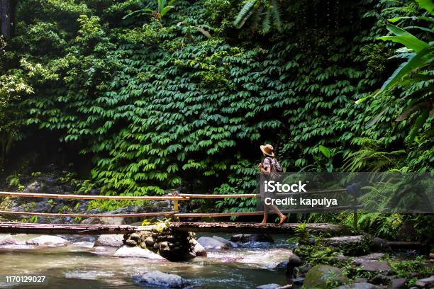 Frau In Der Nähe Von Nung Nung Waterfal Auf Bali Indonesien Stockfoto und mehr Bilder von Abenteuer