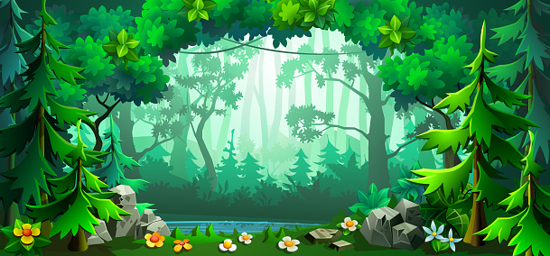 Forest scene with deciduous trees and firs around. Panorama cartoon forest. Vector illustration.