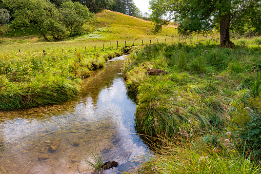 The stream is fresh water and very clear. The water itself has run down from the nearby Yorkshire Dales.