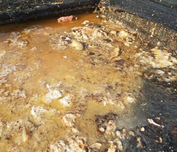 istock grease and juices overflowing from grease trap 1170131359
