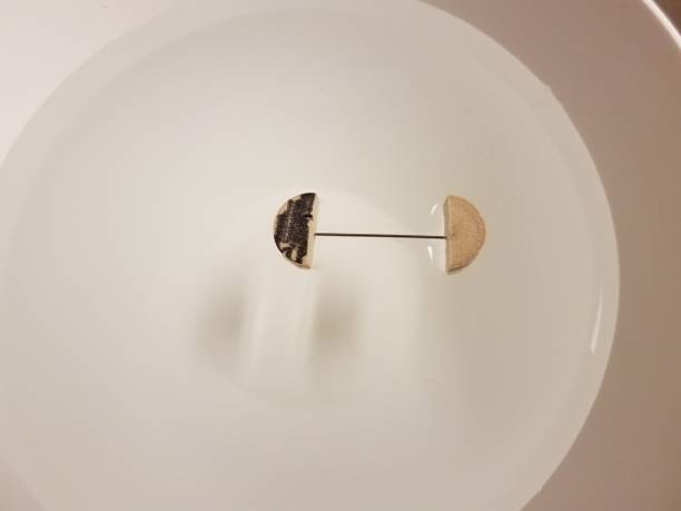 istock pieces of cork and a needle floating in water 1170131381