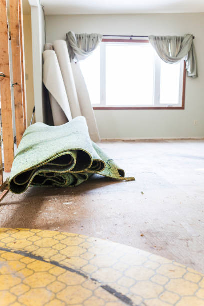 istock Tearing Out Carpet During Home Renovations 1170131487