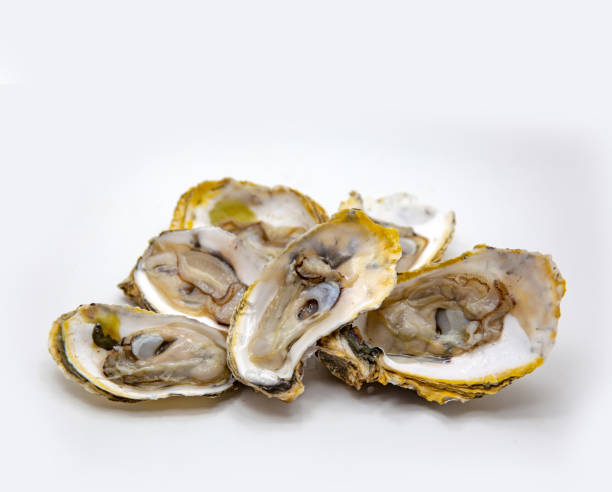 白い孤立した背景に新鮮な牡蠣のシーフードを開く - pacific oyster ストックフォトと画像